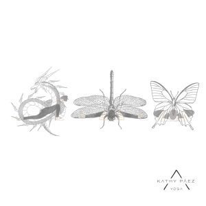 Cómo Crear Secuencias de Yin / Yang Yoga