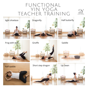 September 17 – 24, 2025. Functional Yin Yoga Teacher Training